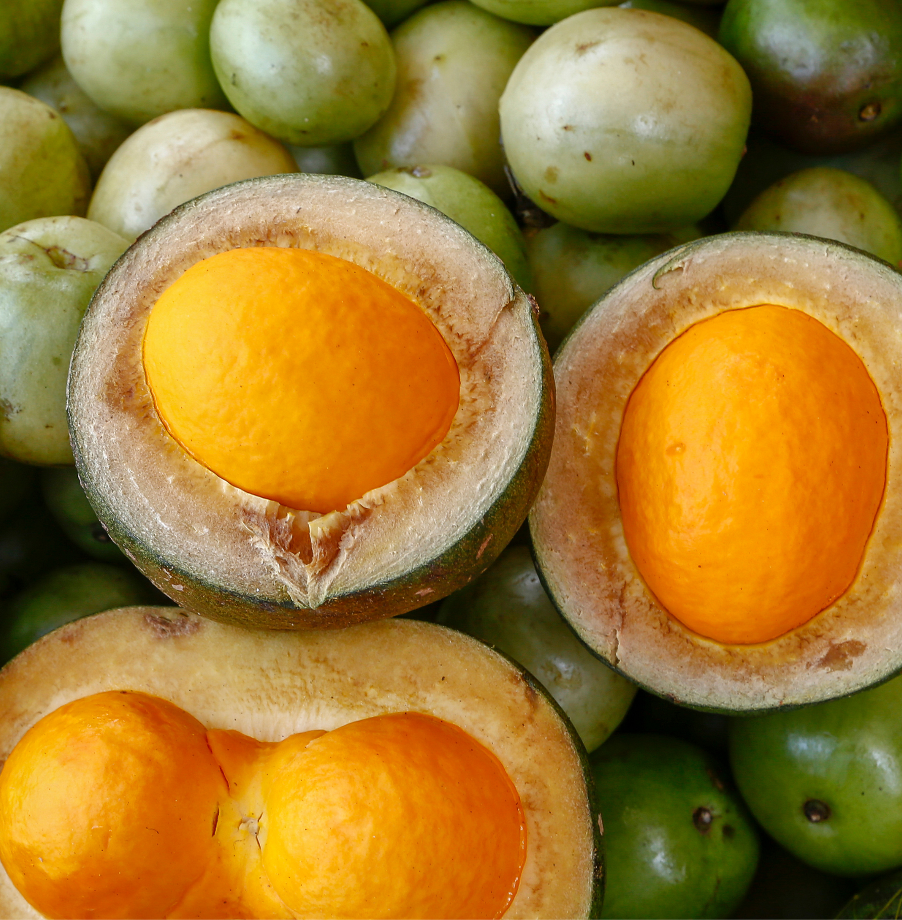 Pequi Öl – Das goldene Elixier für strahlende Haut