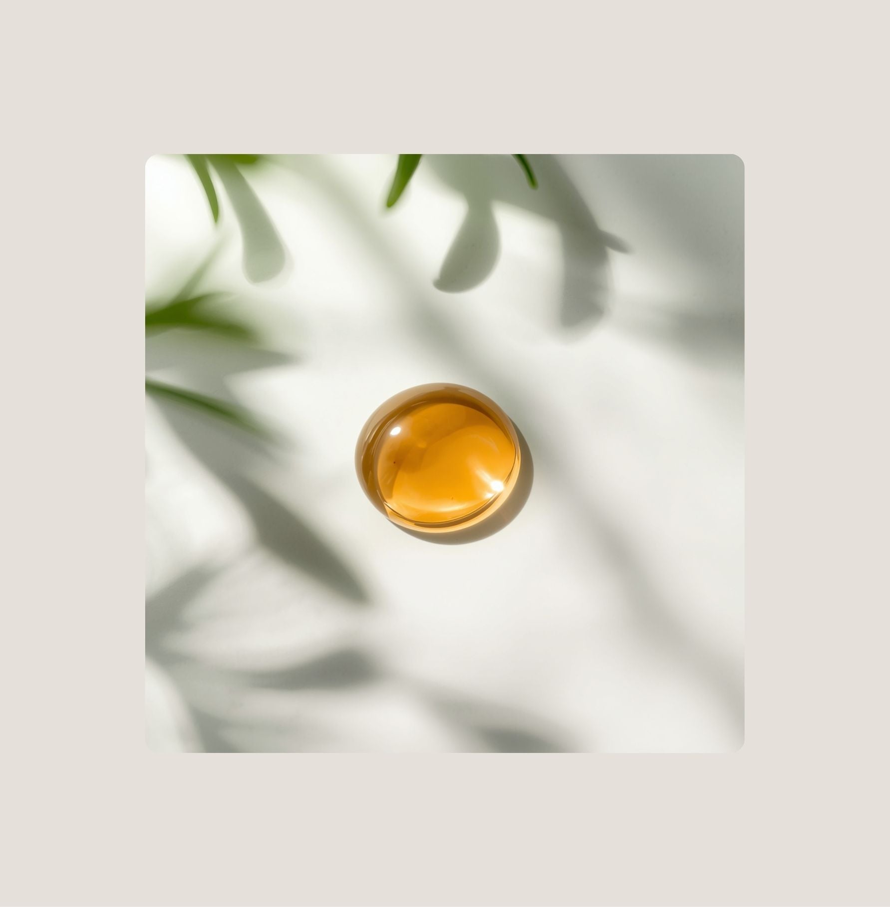 Vitamin E - Der stille Wächter der Lipide