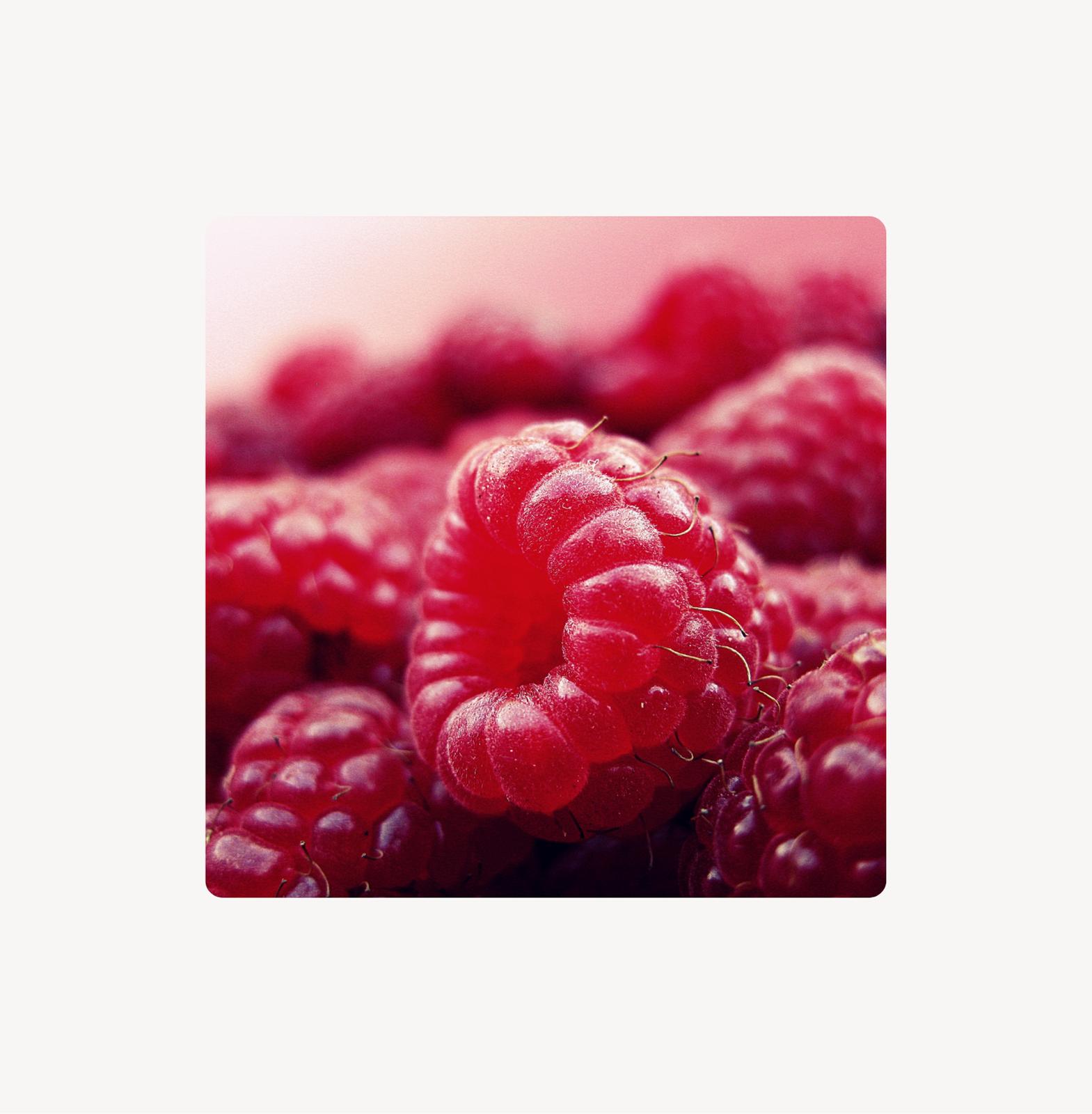 Himbeersamenöl - das verborgene Juwel der Himbeere