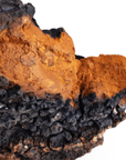 Chaga Pilz, reich an Antixidantien, ist eines der Bestandteile des Chaga-Bloom Cleansers von Skincare by Suni
